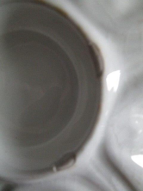 ANTIQUE MAJOLICA OYSTER PLATE 8 3/4" HEAVY CERAMIC