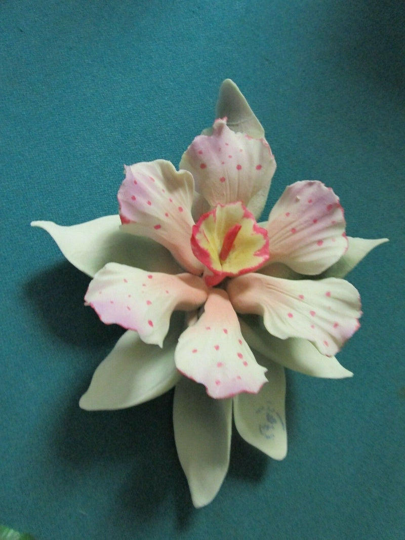 CAPODIMONTE ITALY ORCHID PORCELAIN SCULPTURE PINK, BLUE, DOTTED PICK 1