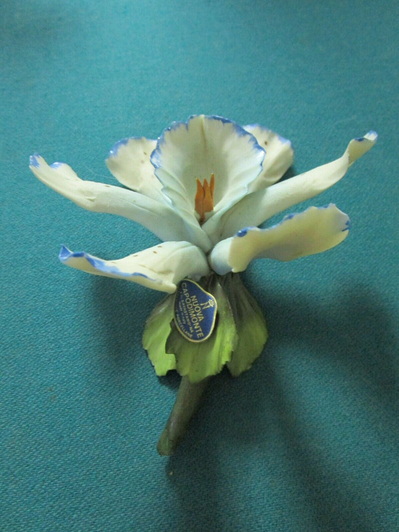 CAPODIMONTE ITALY ORCHID PORCELAIN SCULPTURE PINK, BLUE, DOTTED PICK 1