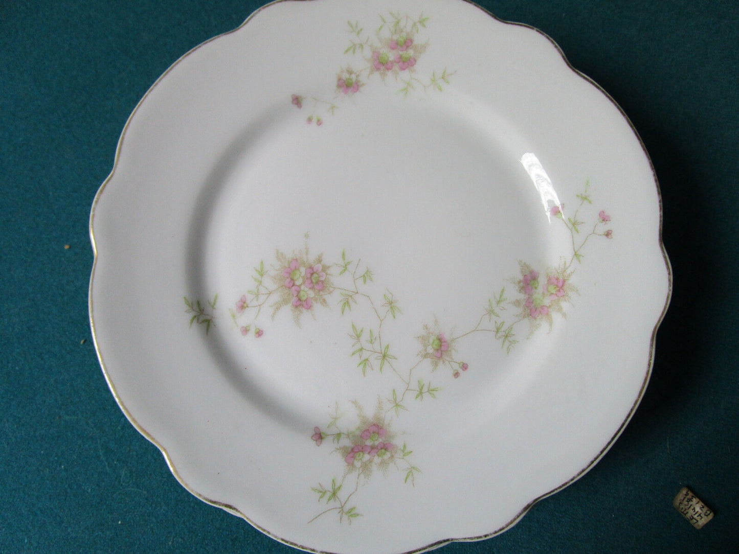 ANTIQUE CARLSBAD FOR W.H GLENNY ROCHESTER NY AUSTRIA 6 PLATES 7 1/2:  [*RS1BSKT]