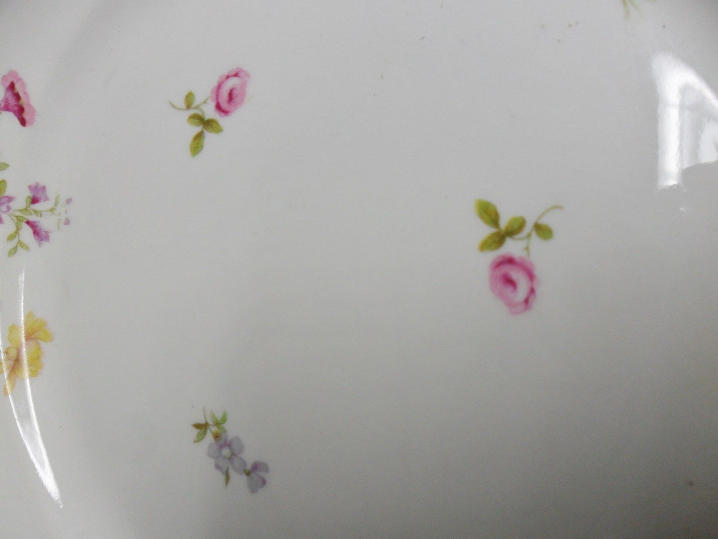 Antique Bernardaud Limoges France 6 salad/dinner plates 8 1/2" c1900s ^^