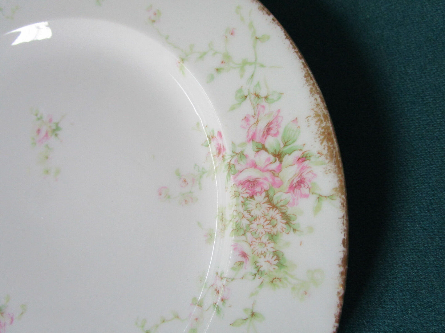 THEODORE HAVILAND LIMOGES WANAMAKER'S 6 DINNER FLORAL PLATES 10" *