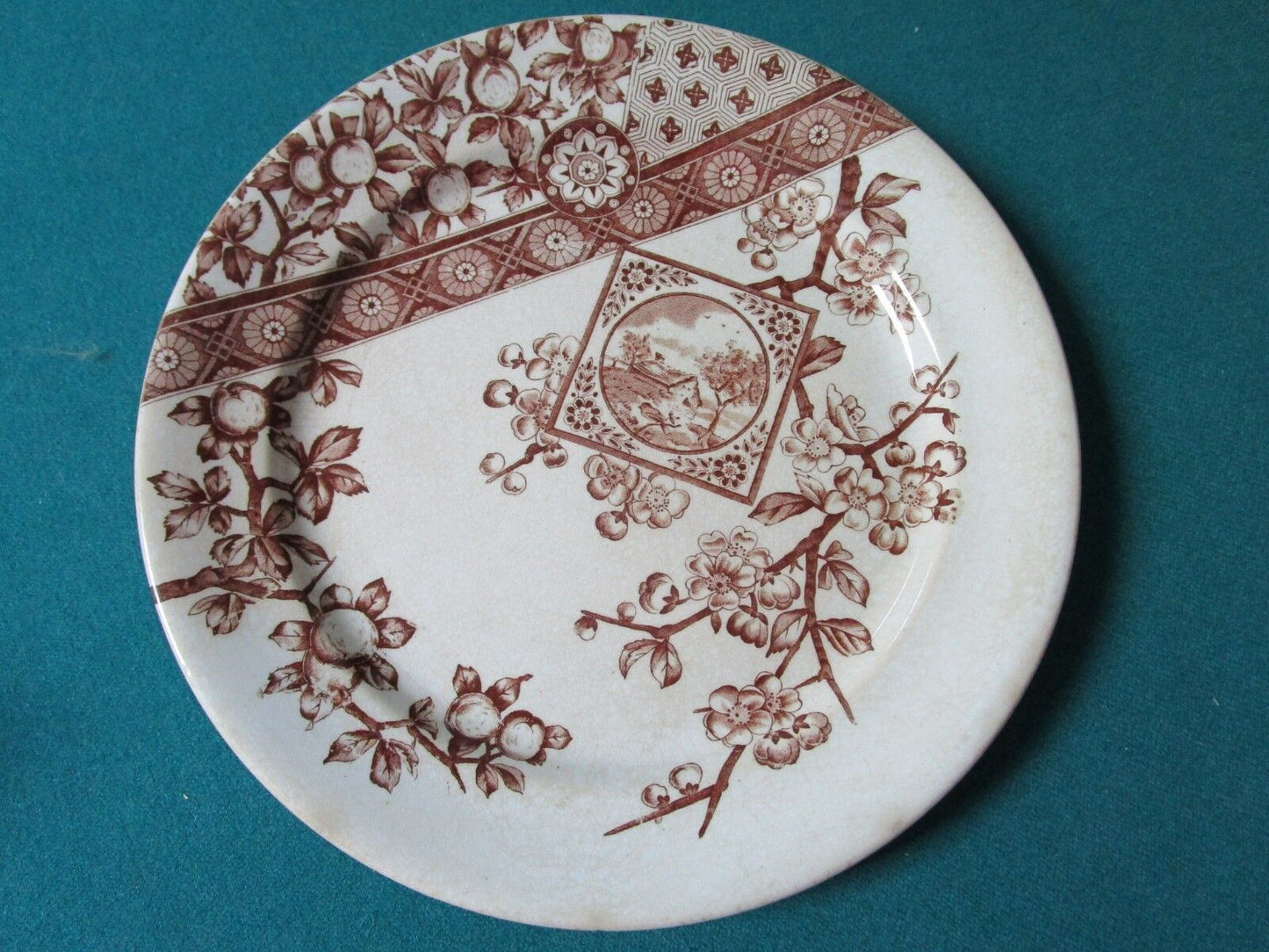 1885-90 Ridgways Pottery _Stoke On Trent /England 3 DINNER PLATES 9" "DADO" PATT