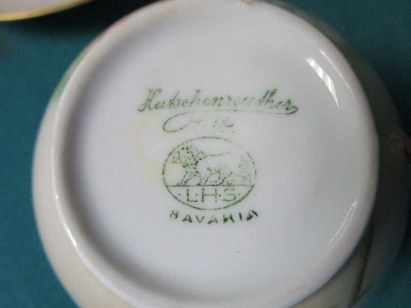 Hutshenreuther Selb Bavaria Germany Cup And Saucer Floral [12F]