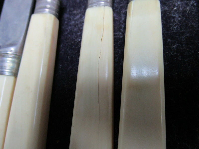 SAVORY 1800s LONDON SILVERPLATE FORKS KNIVES SET WHITE HANDLE ORIGINAL BOX