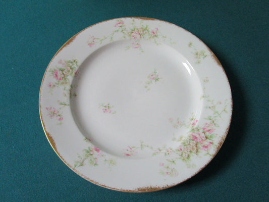 THEODORE HAVILAND LIMOGES WANAMAKER'S 6 DINNER FLORAL PLATES 10" *