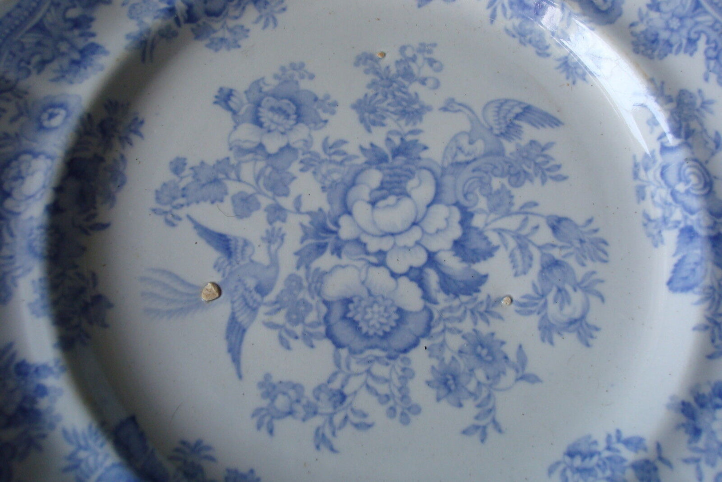 Brough & Blackhurst 1880s "Asian Pheasants" pattern china dinner plate[4mulber]