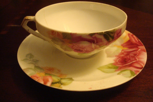 Thomas Bavaria tea cup and saucer decorated with roses ORIG [83C