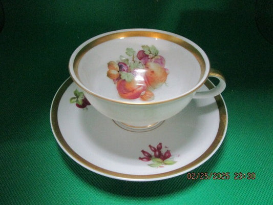 JAEGER & Co.Germany - ca 1902-1970s CUPS AND SAUCER FRUITS AND GOLD  [170A]