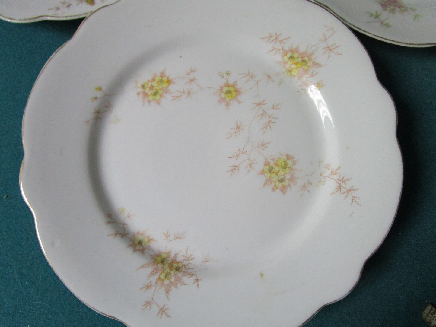 ANTIQUE CARLSBAD FOR W.H GLENNY ROCHESTER NY AUSTRIA 6 PLATES 7 1/2:  [*RS1BSKT]