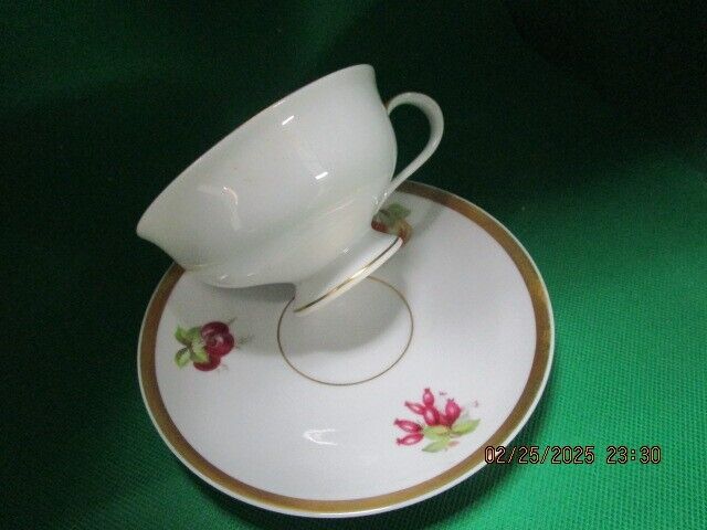 JAEGER & Co.Germany - ca 1902-1970s CUPS AND SAUCER FRUITS AND GOLD  [170A]