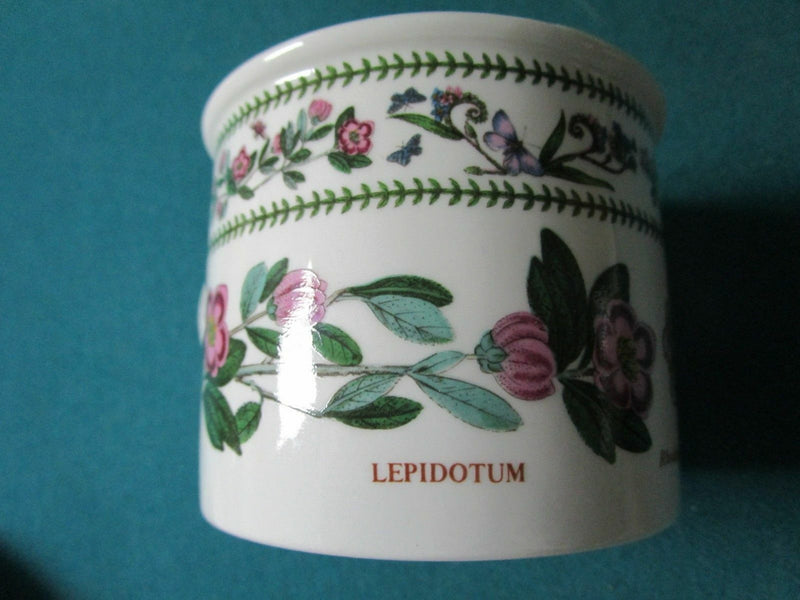 Portmeirion England Cup Saucer  Trio Botanical Flowers Herbs Pick1 [120b]