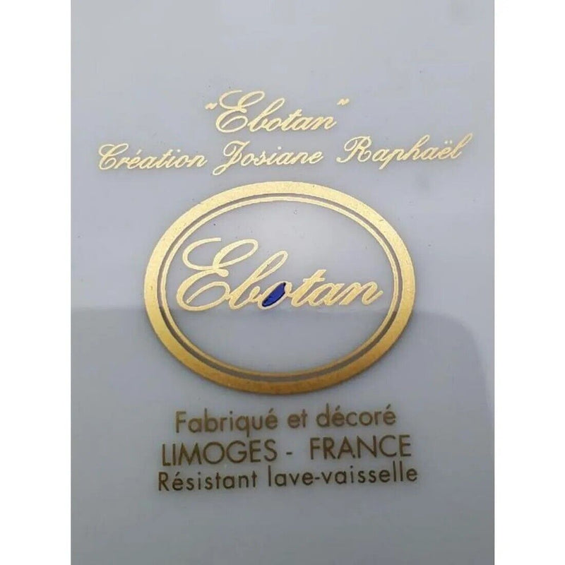 5 Piece Limoge France "Ebotan" Porcelain Set Cup, Saucer, Cake Plate, Dessert ^^