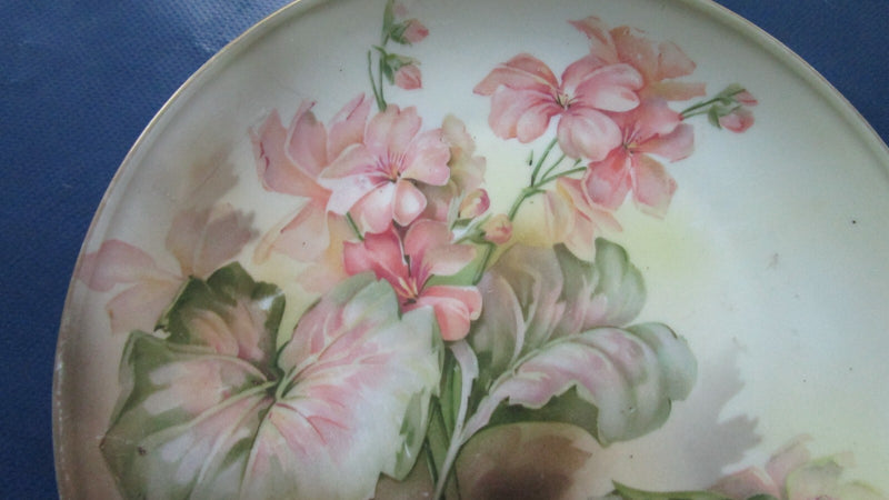 RS Prussia Floral Curio Collector Plate Antique 7 1/2" ^^