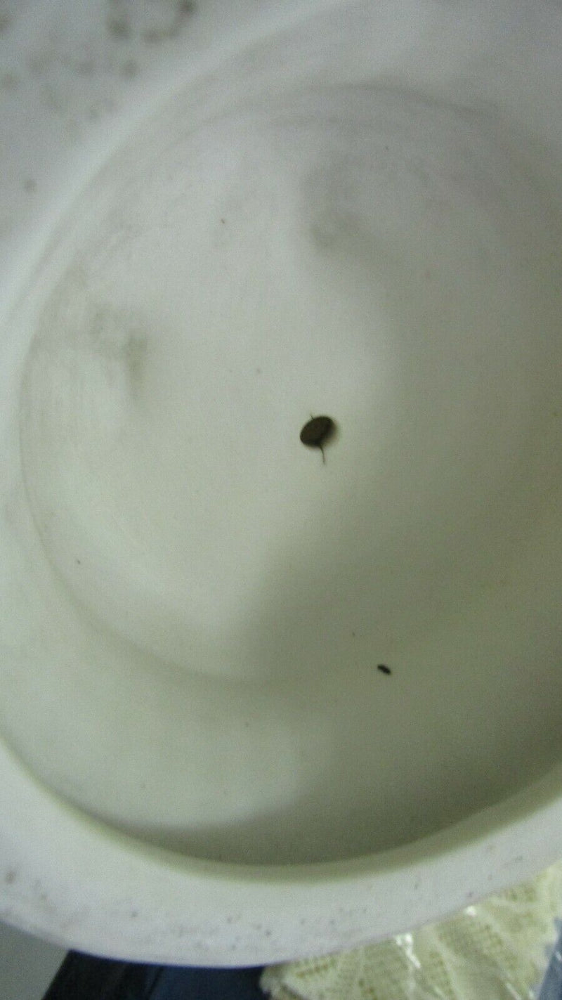 PARIAN SCULPTURE GREEK VIRTUE ARTS ALLEGORY TO THEATER 15"