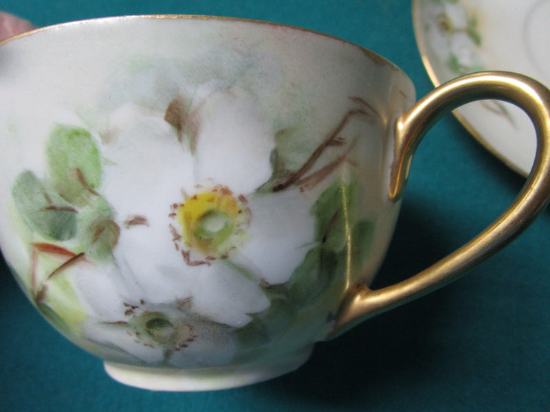 Hutshenreuther Selb Bavaria Germany Cup And Saucer Floral [12F]