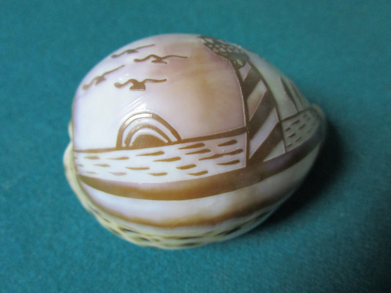 Paperweight Engraved Light House Sea Shell 2 X 3  [PPWD]