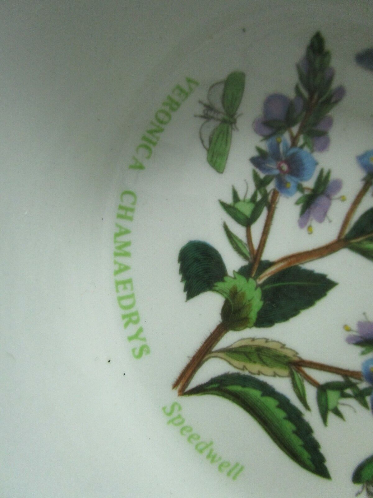 PORTMEIRION RHODODENDRUM OVAL TRAY/ VERONICA CHAMAEDRYS BOWL PICK 1 [ 99]