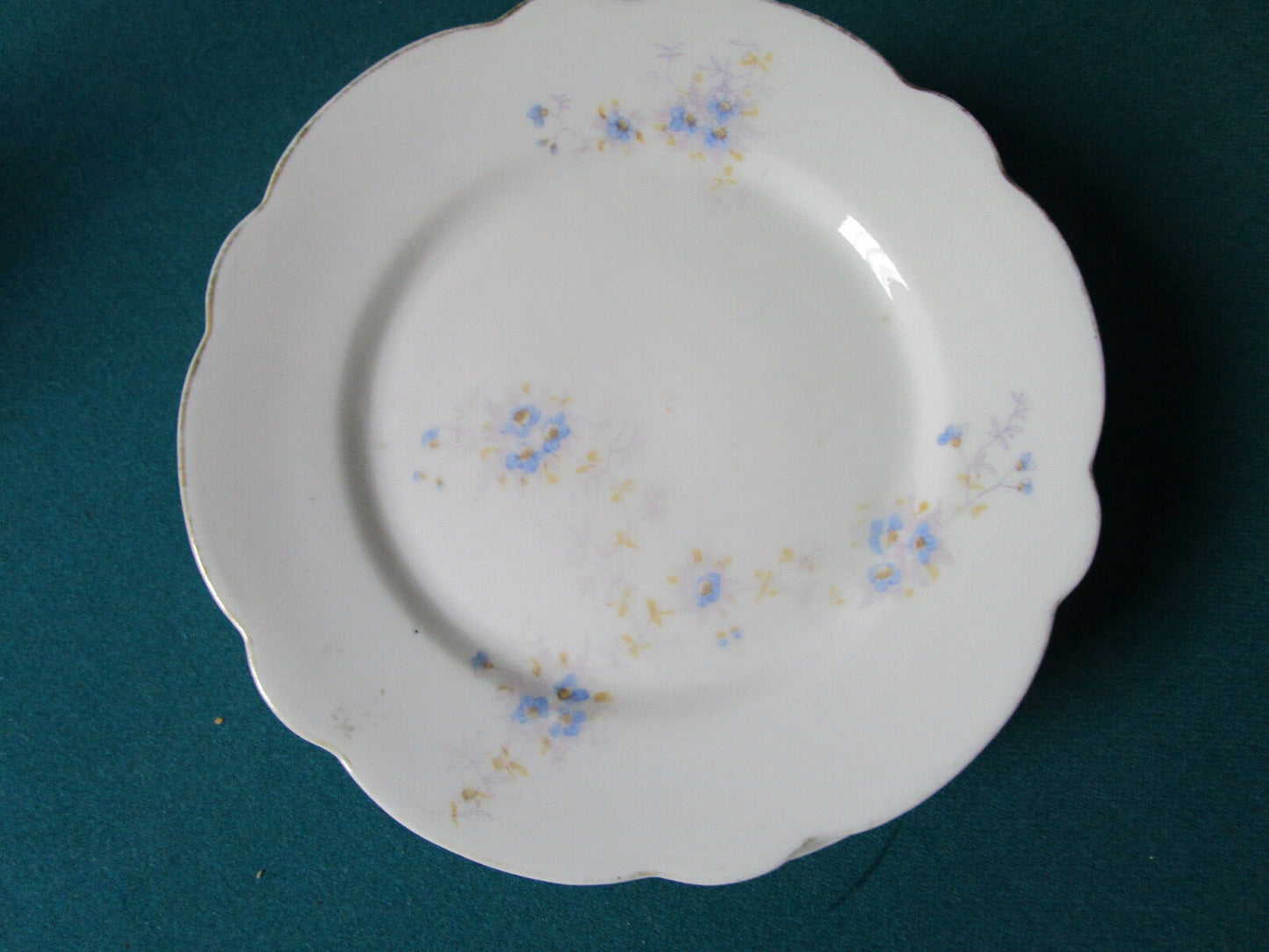 ANTIQUE CARLSBAD FOR W.H GLENNY ROCHESTER NY AUSTRIA 6 PLATES 7 1/2:  [*RS1BSKT]