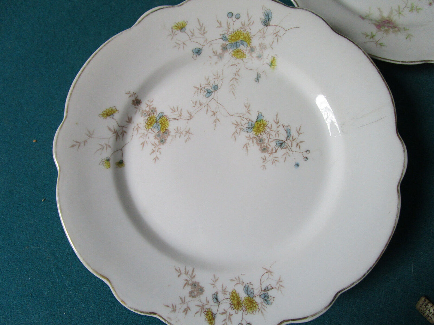 ANTIQUE CARLSBAD FOR W.H GLENNY ROCHESTER NY AUSTRIA 6 PLATES 7 1/2:  [*RS1BSKT]