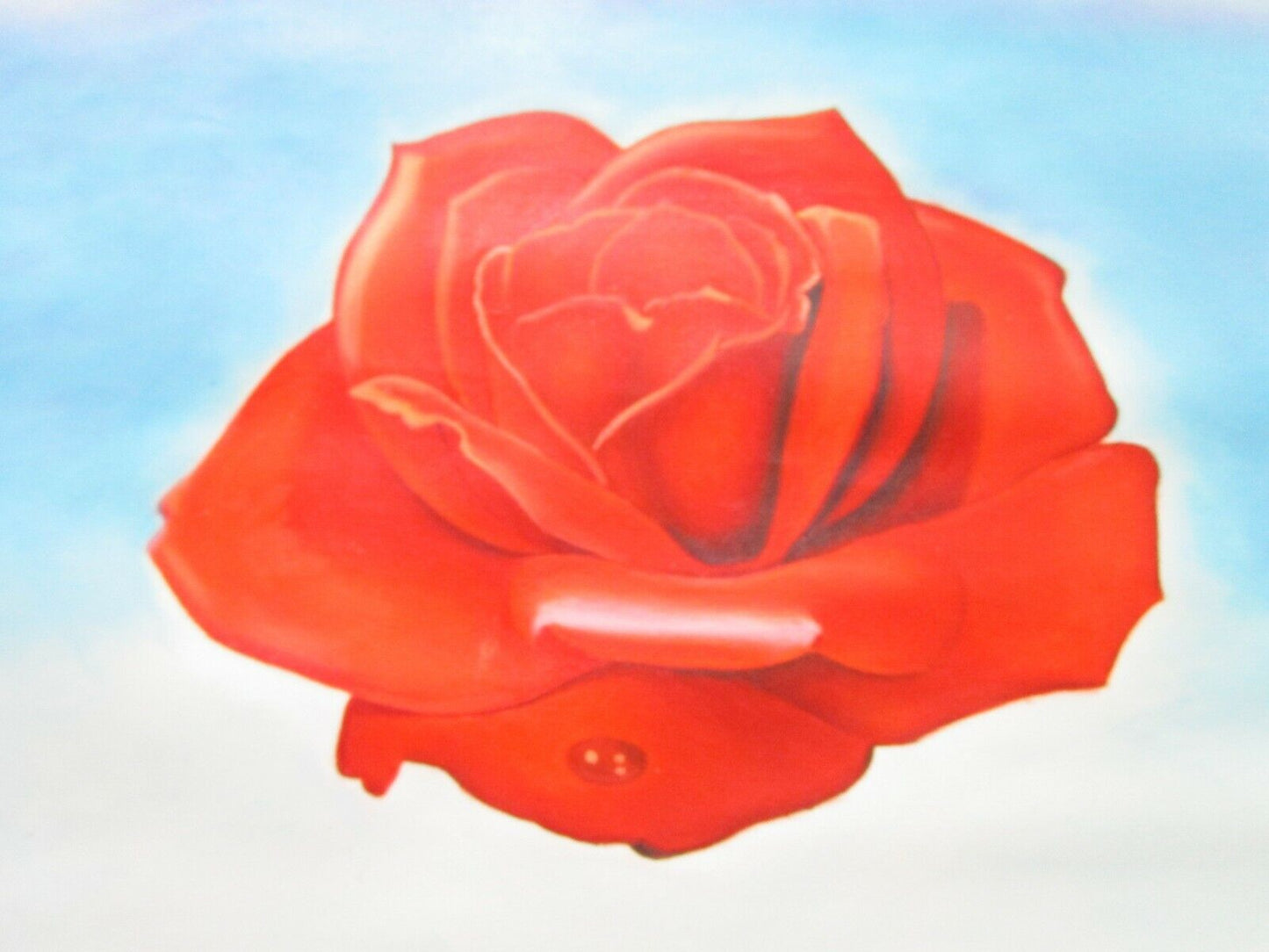 35 X 24" ROSE MEDITATIVE ROSE BY SALVADOR DALI REPRODUCTION IN OIL ON CANVAS