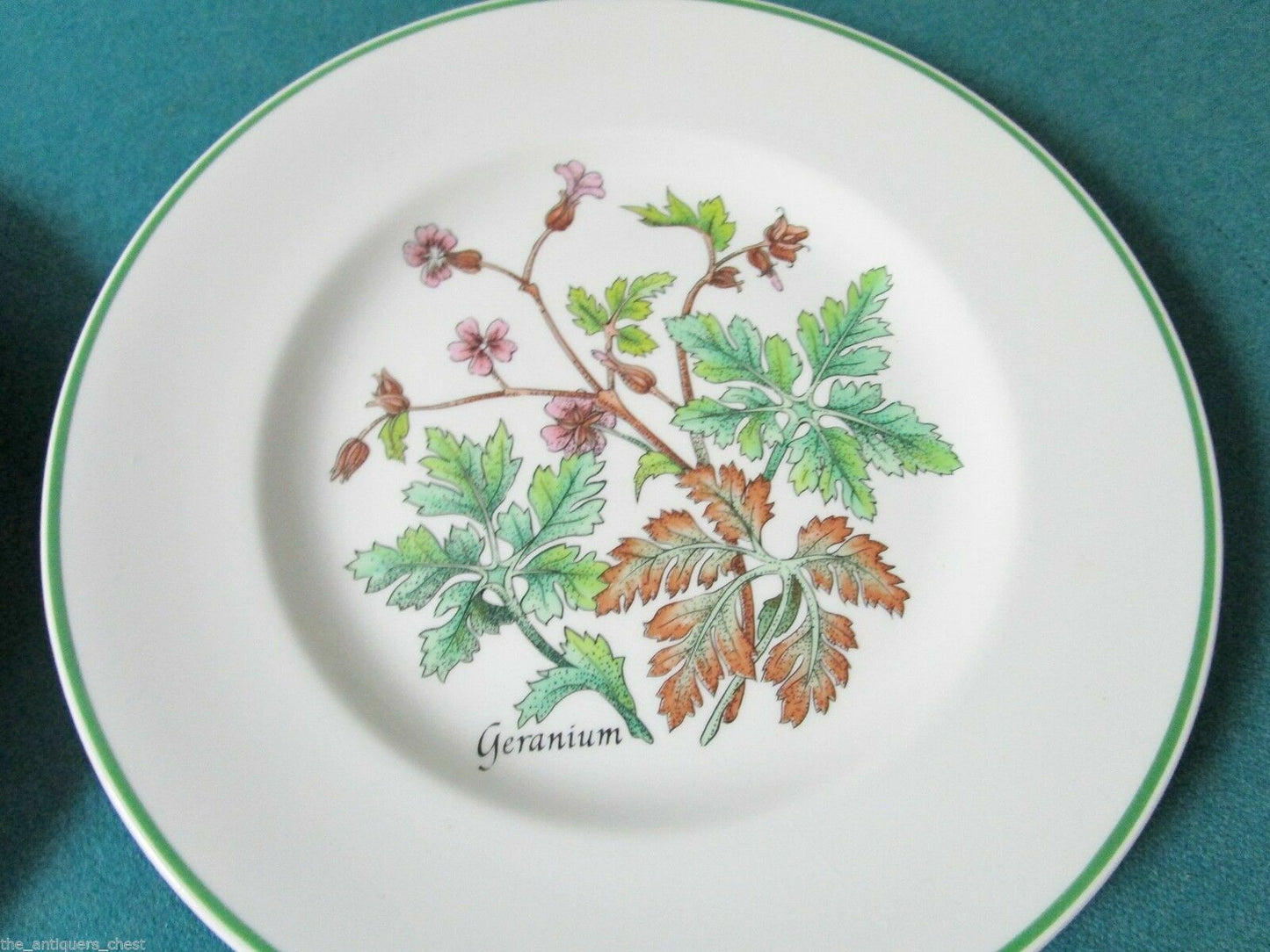 TIFFANY & CO JOHNSON BROS -MENAGERIE-  -WILD FLOWERS- SALAD PLATES ORIGIN PICK 1