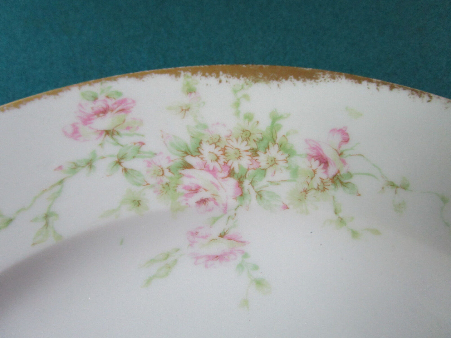 THEODORE HAVILAND LIMOGES WANAMAKER'S 6 DINNER FLORAL PLATES 10" *