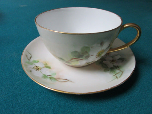 Hutshenreuther Selb Bavaria Germany Cup And Saucer Floral [12F]