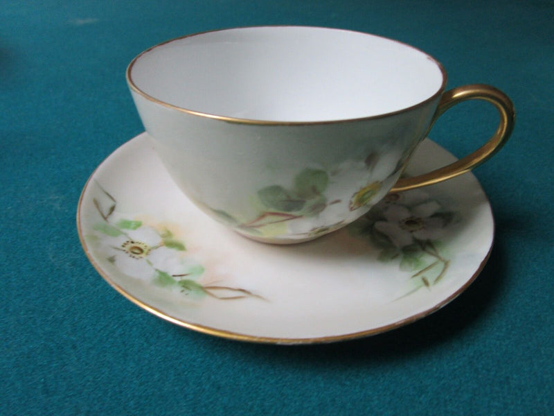Hutshenreuther Selb Bavaria Germany Cup And Saucer Floral [12F]