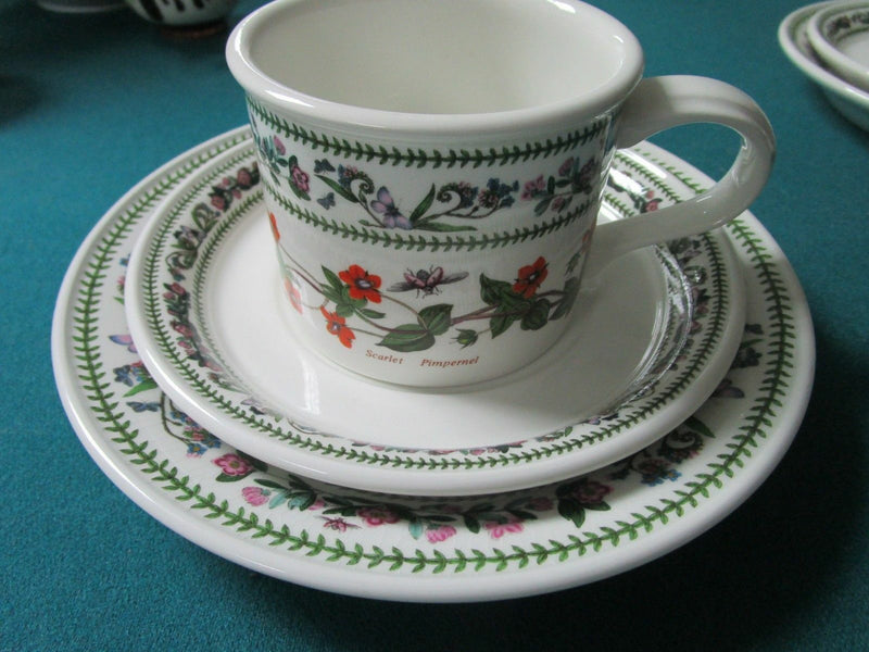Portmeirion England Cup Saucer  Trio Botanical Flowers Herbs Pick1 [120b]