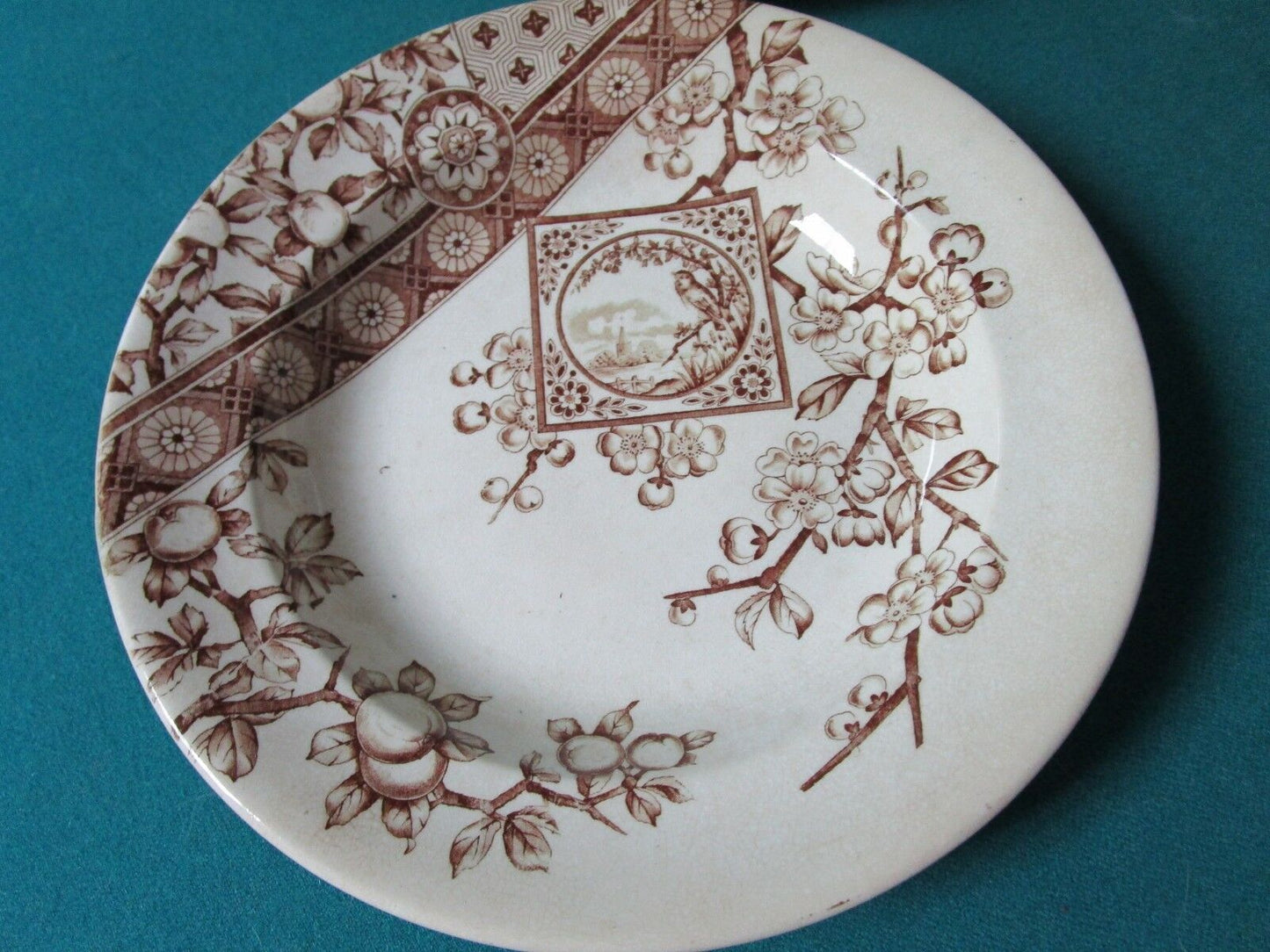 1885-90 Ridgways Pottery _Stoke On Trent /England 6 SOUP PLATES 9 1/2" "DADO"