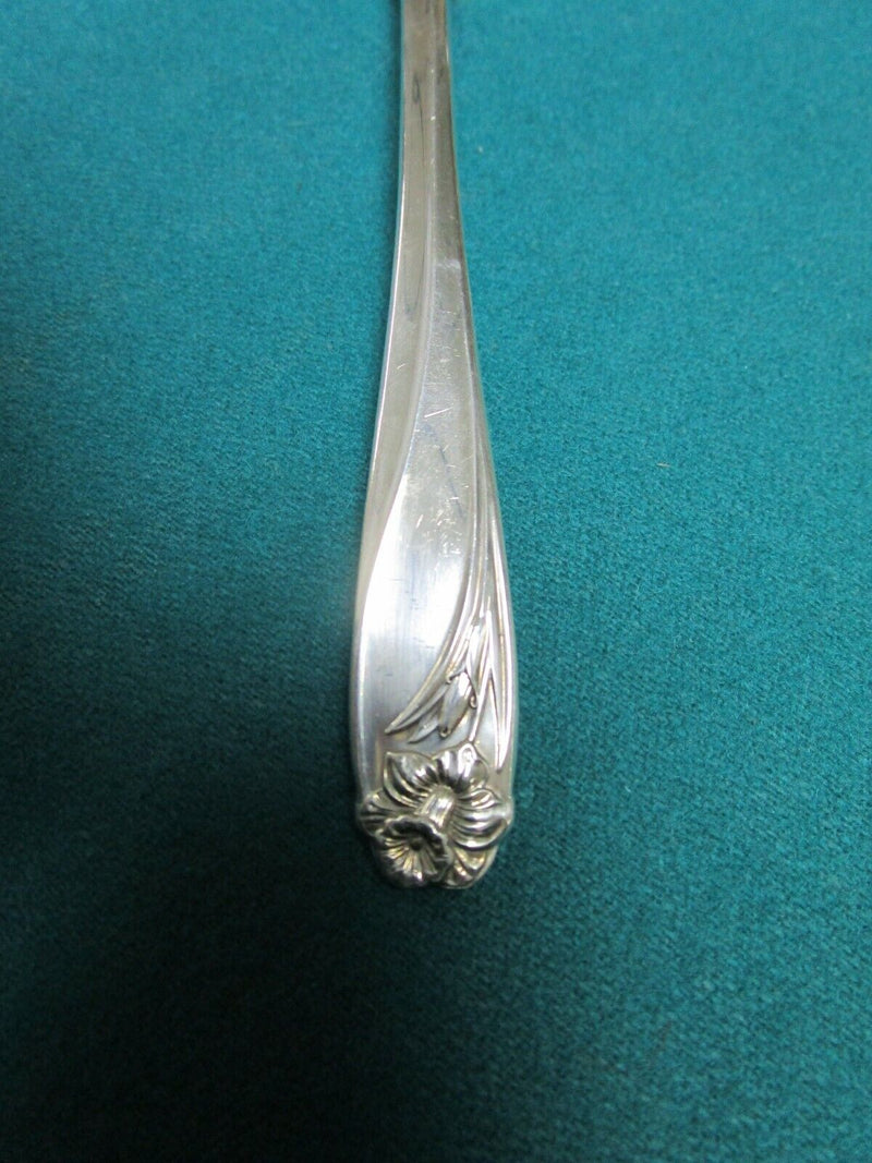 Daffodil By 1847 Rogers / International - Silverplate 81 PCS  LIGHTLY USED