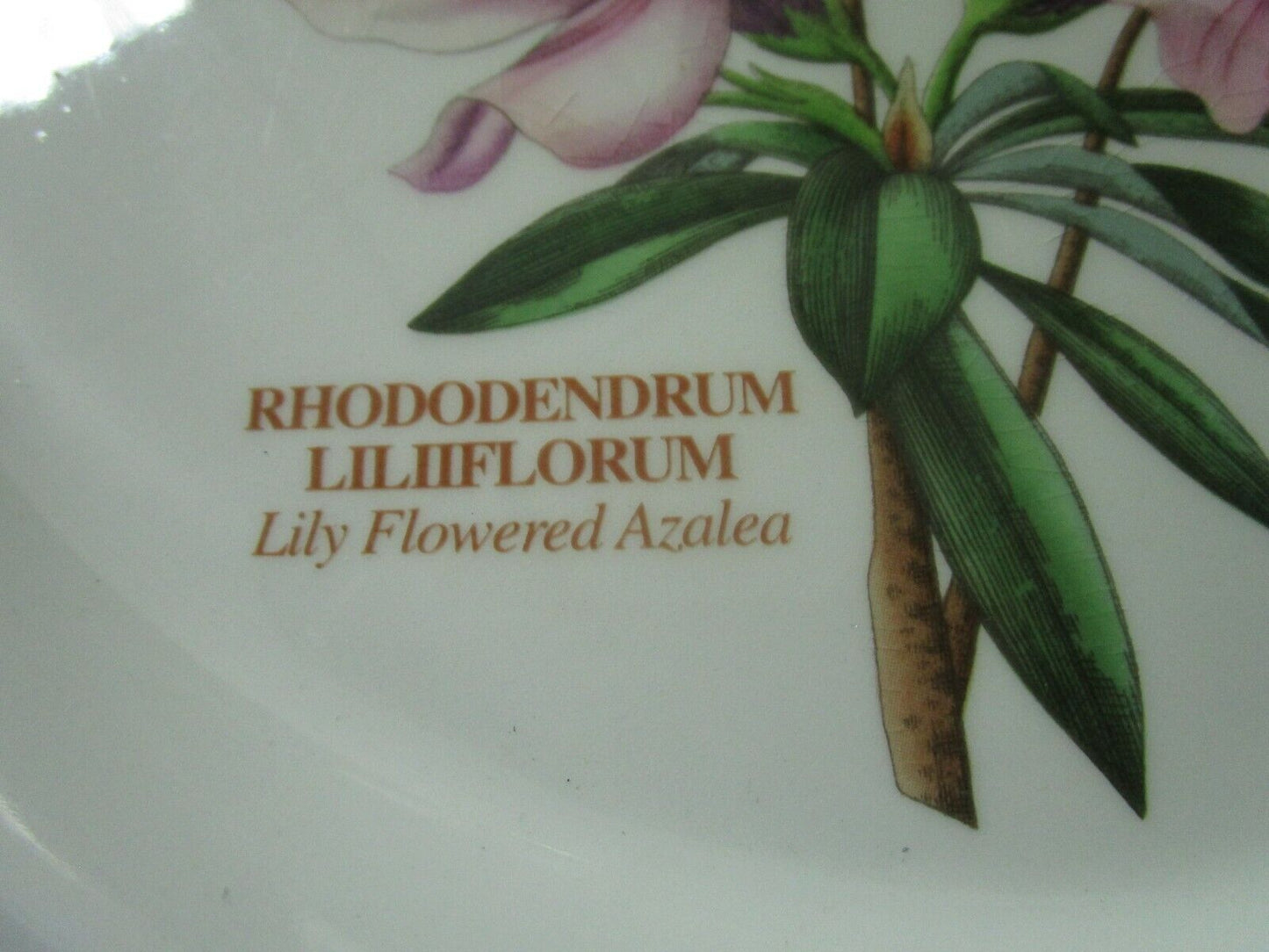 PORTMEIRION RHODODENDRUM OVAL TRAY/ VERONICA CHAMAEDRYS BOWL PICK 1 [ 99]