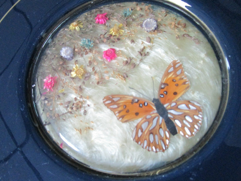 Glass Plate Center Shadow Box Butterfly And Dry Flowers 10" 6 Sides[*A1]