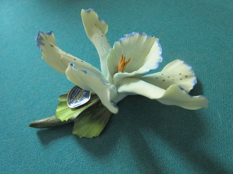 CAPODIMONTE ITALY ORCHID PORCELAIN SCULPTURE PINK, BLUE, DOTTED PICK 1