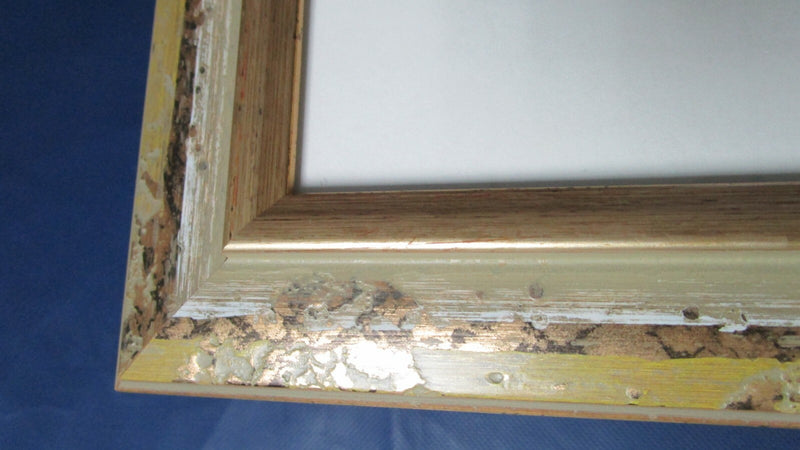 HANS PAUS LITHOGRAPH PROFESSIONALLY FRAMED SIGNED ON PLATE -FARMLANDS-