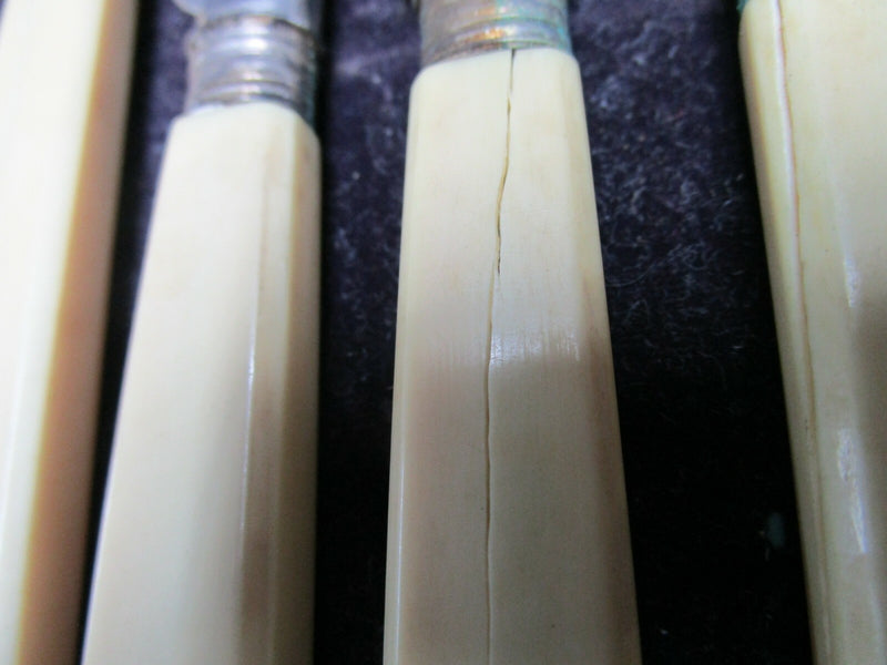 SAVORY 1800s LONDON SILVERPLATE FORKS KNIVES SET WHITE HANDLE ORIGINAL BOX