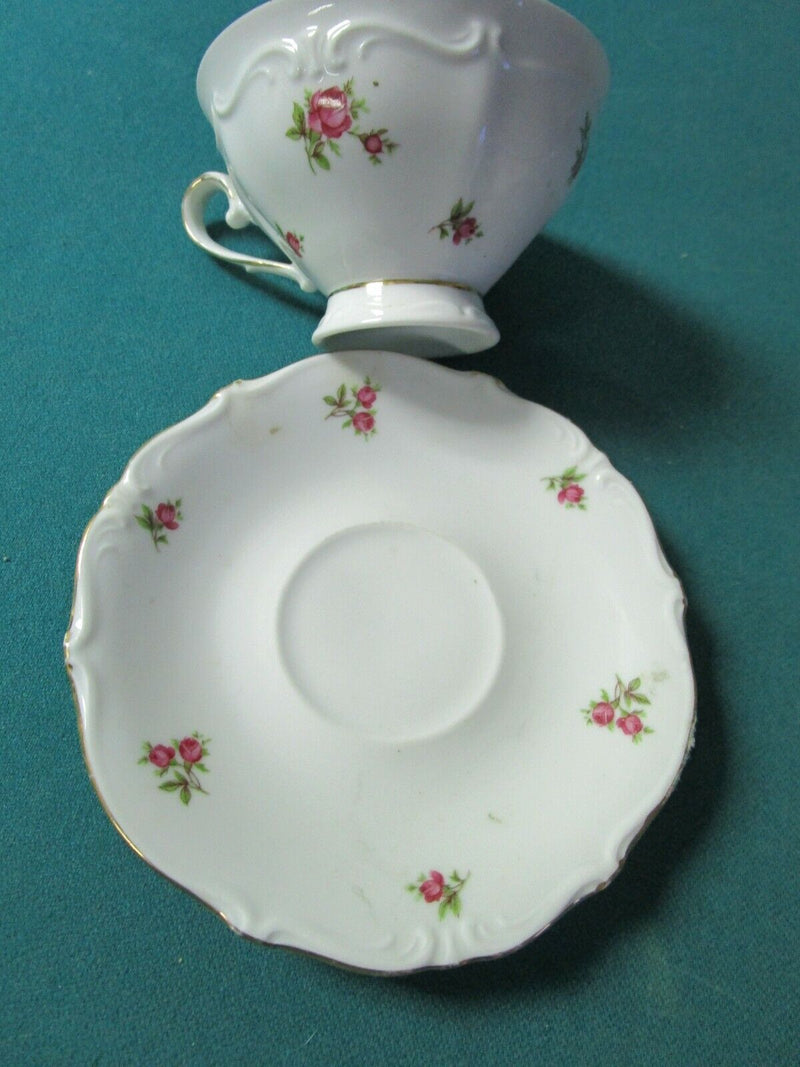 Oscar Schaller Tea Cup And Saucer Roses Original Germany