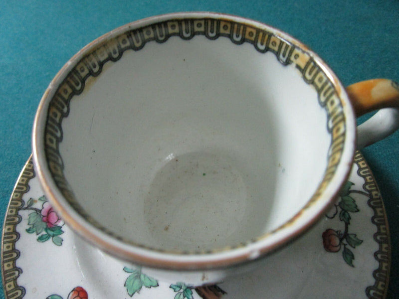 Coffee Cup Saucer F.Winkle /Pheasant -Copeland Spode- Royal Staffordshire Pick1^