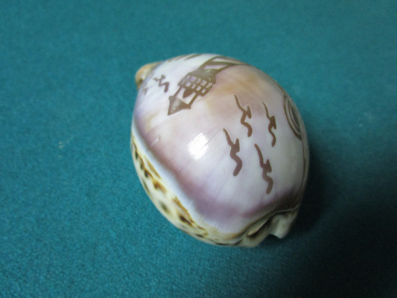 Paperweight Engraved Light House Sea Shell 2 X 3  [PPWD]