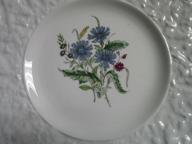 Royal Cauldon England 4 Dinner Plates Bristol Ironstone Woodstock Pick 1 Set