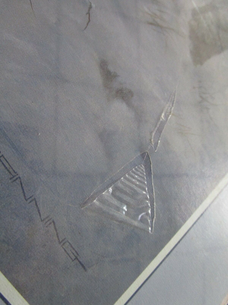 Larry Fanning Wolves Poster Signed In Plate  16 X 20"