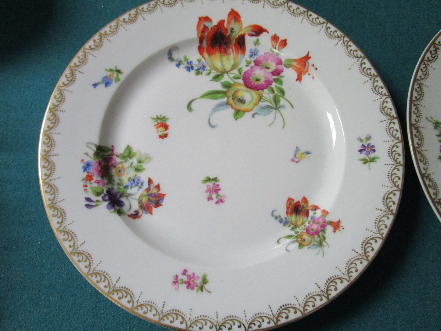 Crown Imperial H&C Czech Dresden Flower 2 dinner plates, 9 1/4" diam ^^