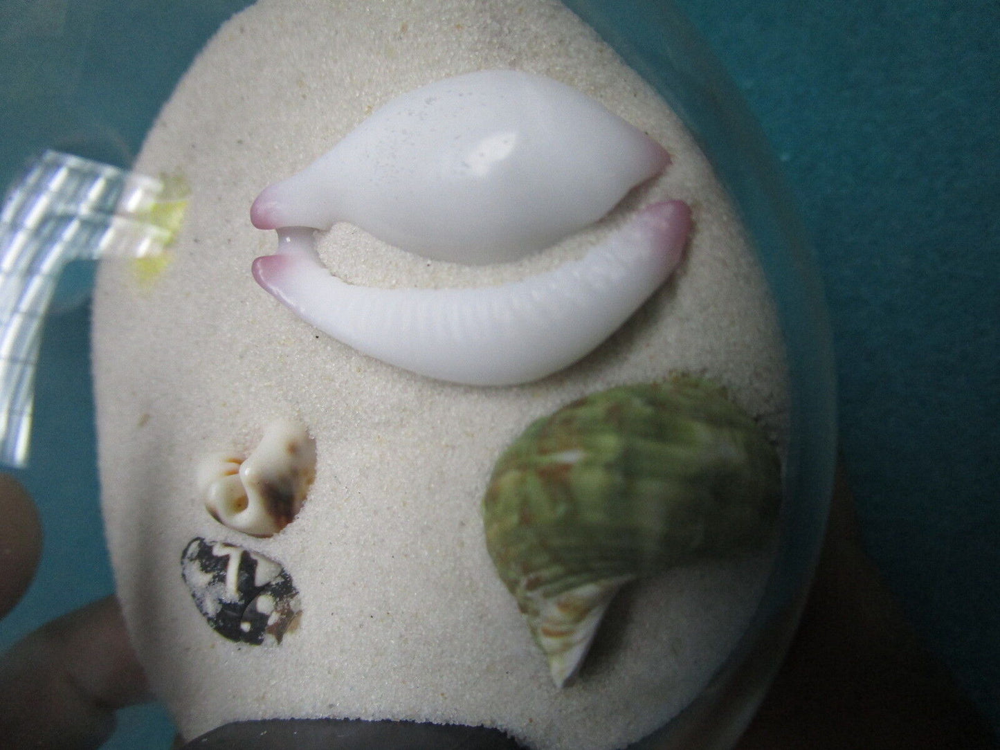 Acrylic  Paperweight 3" diam with acrylic stand, sand and shells inside