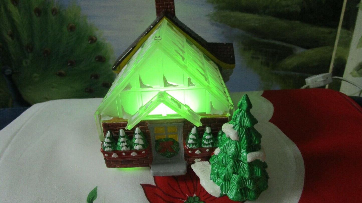 VILLAGE GREENHOUSE LIGHTED ORIGINAL DEPT 56  NEW SHOW-ROOM-MODEL