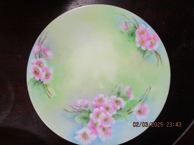 German Floral Curio Plates 7.75" Favorite ^^