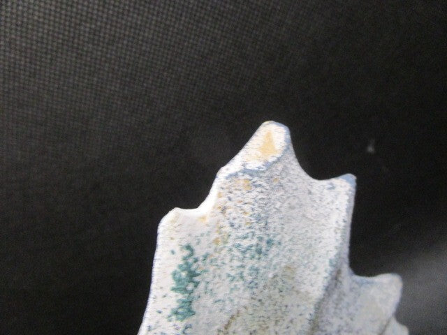 Koi Hand Carved 2 Fishes Sculpture Mango Wood Burned Embellished  2 Pcs ^^^