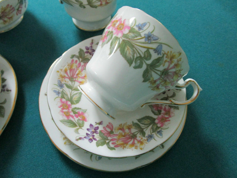 Paragon England Tea Pot Cups Saucer Creamer Cake Plate Country Lane [140g]
