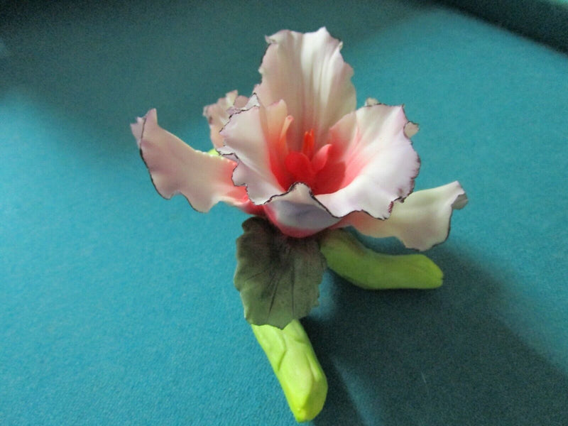 CAPODIMONTE ITALY ORCHID PORCELAIN SCULPTURE PINK, BLUE, DOTTED PICK 1