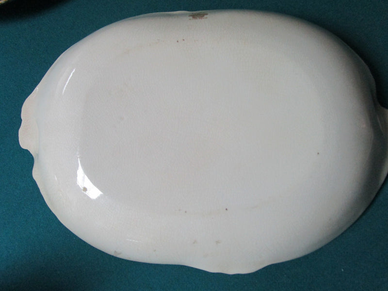 ANTIQUE ROYAL Devon, Stoke-on-Trent, ENGLAND VANITY TRAY CENTERPIECE RARE